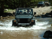 bob_in_the_water