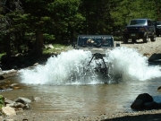 joe_in_the_water