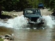 ladd_in_the_water