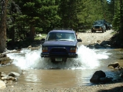 perry_in_the_water