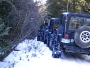 everyone_on_the_trail
