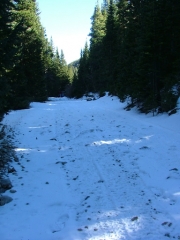snowy_trail