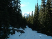 trail_with_snowy_mountain