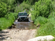 dave_in_the_water