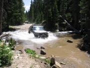 steve_splash