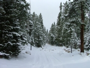 snowy_trail