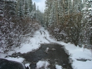 water_crossing