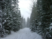 wintery