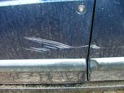 julie_trail_damage_part_1