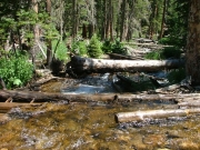 creek_crossing_part_3