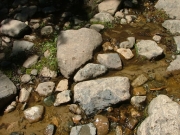 rocks_in_the_water