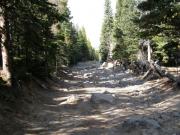 early_trail