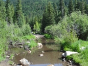 muddy_water