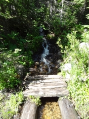 path