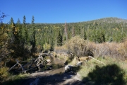 along_the_creek