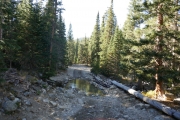 crossing_part_1