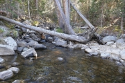 crossing_part_2