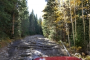 logs