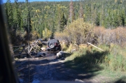 monica_in_the_creek