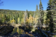 trail_in_the_creek