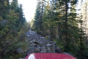wet_rocks
