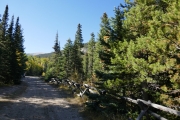 wide_trail