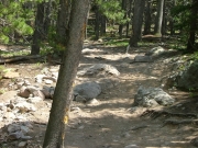 rocky_trail