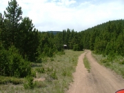 up_to_the_empire_hilton