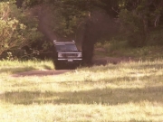 daniel_through_the_mud