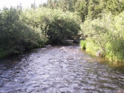 mill_creek