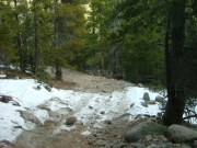 first_snow