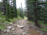 after_the_rain