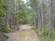 big_puddle