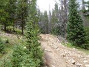 loose_rocks