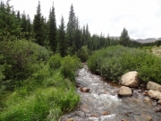mill_creek_part_2