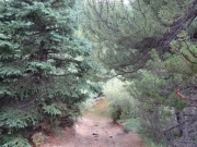 mill_creek_part_3