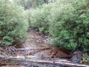 mill_creek_part_4