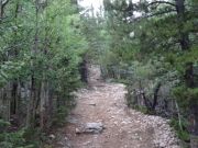 rocks_and_trees