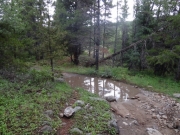 standing_water
