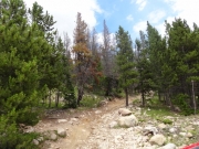 uphill_next_to_the_creek