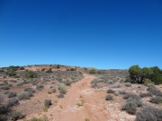 back_to_the_trailhead