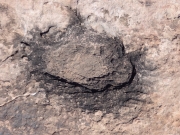 into_rock
