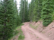 climbing