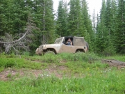 don_on_the_trail