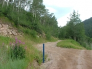 left_turn