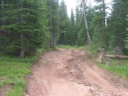 rutted_section