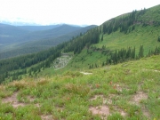 see_for_miles