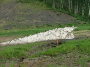 snow_in_july