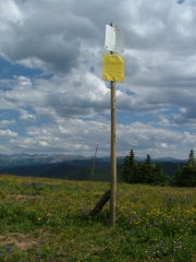 tall_ski_sign