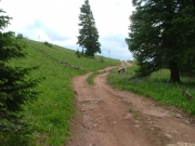 up_to_red_peak